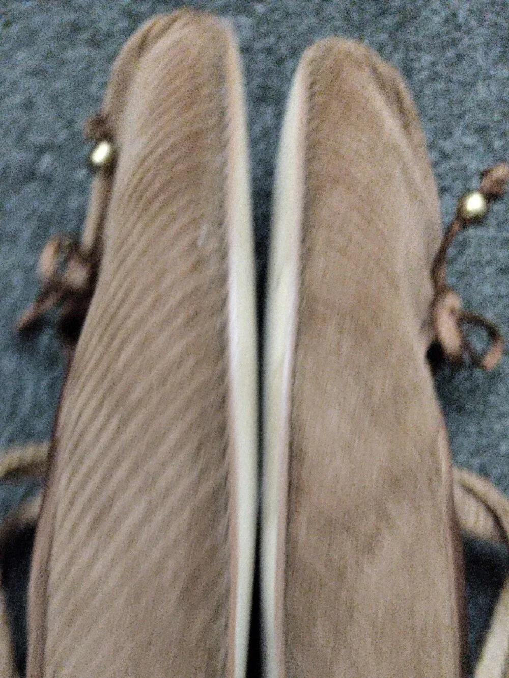 Circus by Sam Edelman Brown Corduroy Ballet Flats
